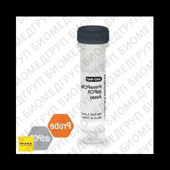 Набор BRAF V600R мутация PrimePCR ddPCR, 200 реакций, BioRad, 1863102