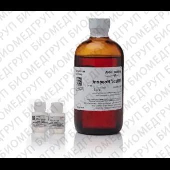 Набор TRIzol Max Bacterial RNA Isolation Kit, Thermo FS, 16096040, 200 выделений