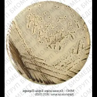 Основа агара БэйдПаркера, 500 г ФСЗ 2009/03709