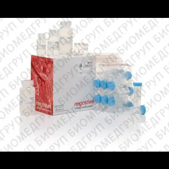 Набор JetQuick Blood and Cell Culture DNA Midiprep Kit, Thermo FS, A30704, 50 выделений