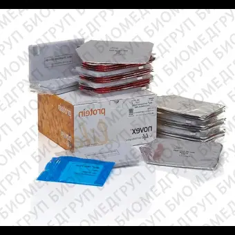 Мембраны iBlot Transfer Stack, для переноса белков, 0,2 мкм, нитроцеллюлоза, 8 x 8 см, Thermo FS, IB301032, 3х10 шт./уп.