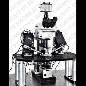 Оптический микроскоп Scientifica SliceScope Pro 2000