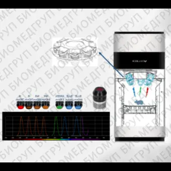 Система визуализации биолюминесценции и флуоресценции in vivo, Newton 7.0FT500, Vilber, 1211 9740 1