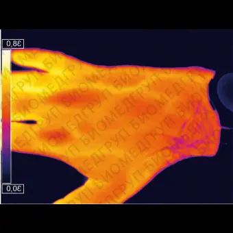 Медицинская тепловая камера PI 400i