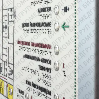 Тактильнозвуковая мнемосхема Лабиринт 1100х800 на конференц стойке