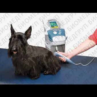 Ветеринарная лазерная фотостимуляция INTELECT VET