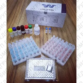 Экспресстест COVID19 IGRA ELISA