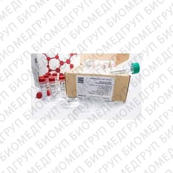 Набор для мечения антител красителем sulfoCyanine5, Lumiprobe, 332110rxn, 10 реакций