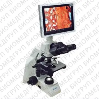 Биологически чистый микроскоп DM12 series