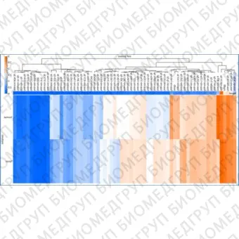 Панель для профилирования миРНК, Multiplex miRNA Assay Breast Cancer Panel  Cellular, Abcam, ab203183, 96 тестов