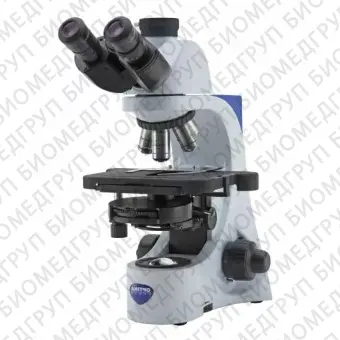 B300 Прямой микроскопсерии B300