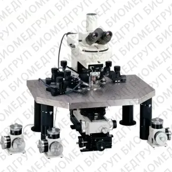 FN1 Прямой бинокулярный микроскоп серии Eclipse