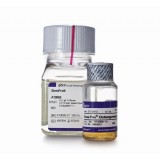 Набор StemPro Osteogenesis Differentiation Kit, для дифференцировки мезенхимальных стволовых клеток человека в остеоциты, Thermo FS, A1007201, 1 набор