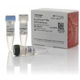 ДНК-полимераза AccuPrime Pfx DNA Polymerase, Thermo FS, 12344032, 1000 реакций