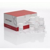 Набор PureLink Quick Gel Extraction and PCR Purification Combo Kit, Thermo FS, K220001, 50 выделений