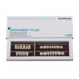 Spofadent Plus (А2) 1/32-0/2-1/74