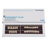 Spofadent Plus (D3) 1/21-0/2-1/60