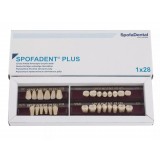 Spofadent Plus (С3) 52-0/5-1/60