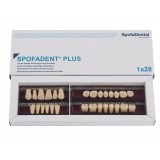 Spofadent Plus (А3,5) 1/17-0/6-77N