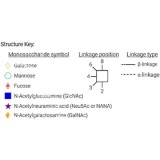 AdvanceBio APTS G2S1 α(2,6) / A2G2S(6)1 N-гликановый стандарт (ранее ProZyme)