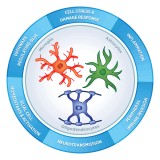 Панель nCounter Glial Profiling