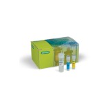 Набор SingleShot Cell Lysis Kit для лизиса клеток для последующей ОТ-ПЦР(100 реакций)