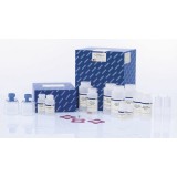 Набор QIAGEN EndoFree Plasmid Giga Kit для выделения плазмидной ДНК без эндотоксинов(5 реакций)