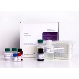 Набор реагентов SVANOVIR® F.hepatica-Ab для обнаружения антител к фасциолезу КРС методом ИФА(2 планшета)